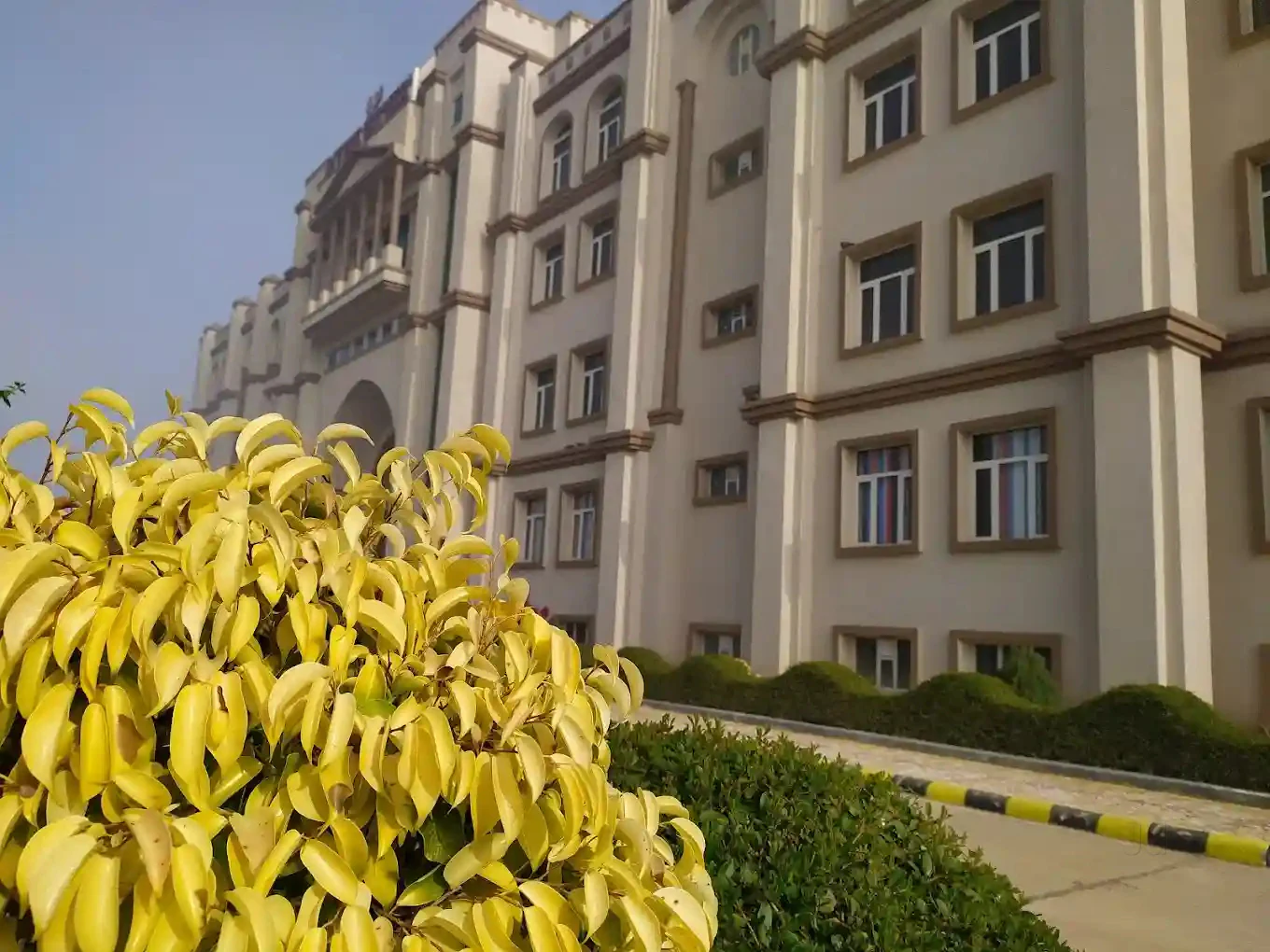 Divine International Girls School Gudha-Road Jhunjhunu - Photo 22