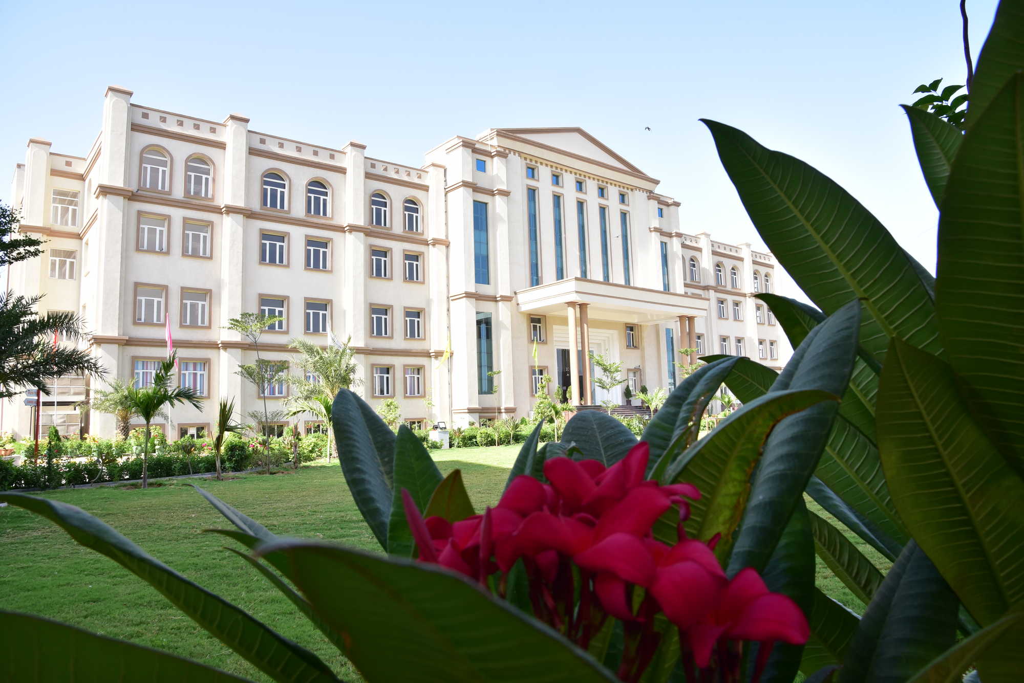 Divine International Girls School Gudha-Road Jhunjhunu - Photo 48
